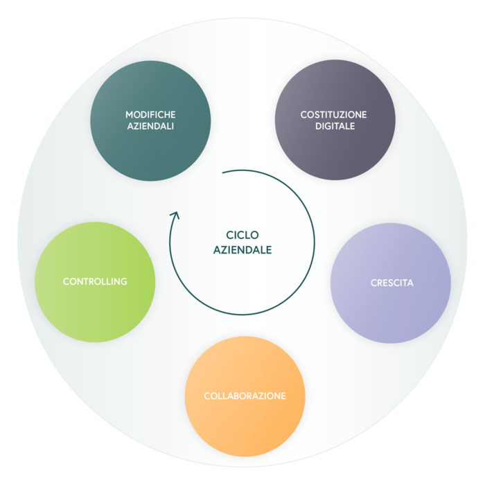 Digital start-up, growth, collaboration, controlling, digital change – business lifecycle