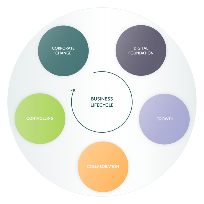 Digital start-up, growth, collaboration, controlling, digital change – business lifecycle